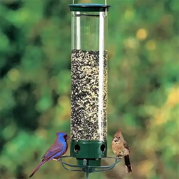 Copy of (🔥Last Day Promotion 49% OFF🔥)Squirrel-Proof Bird Feeder(Buy 2 FreeShip)